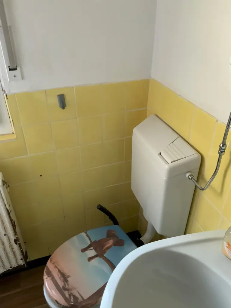 Bestandsaufnahme altes Badezimmer